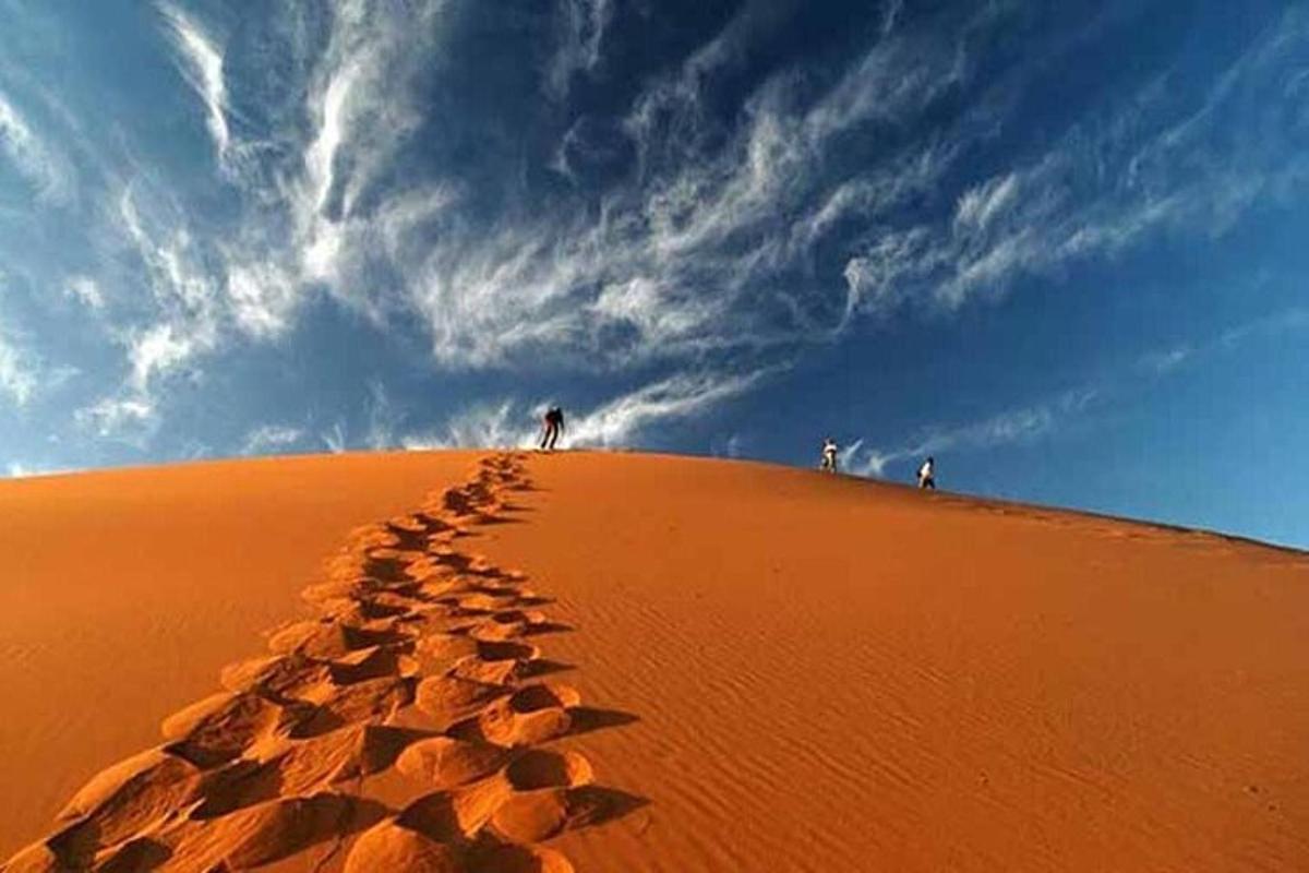 a group of people standing on top of a sand dune