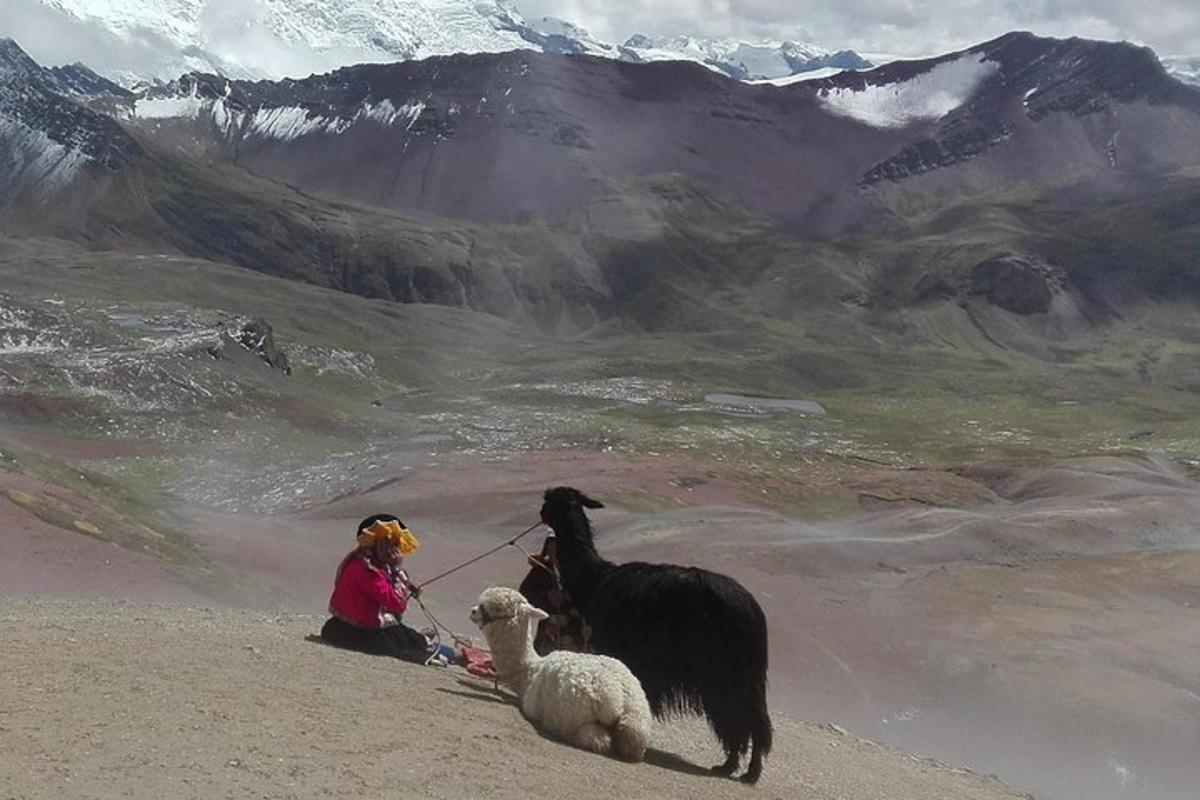 en kvinne og to lam på et fjell med en hund