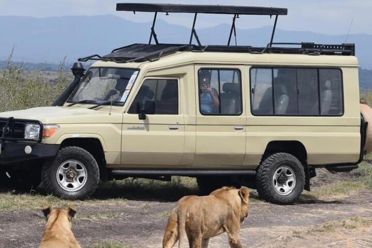 jeep aige z ludźmi siedzącymi w nim obok dwóch zwierząt