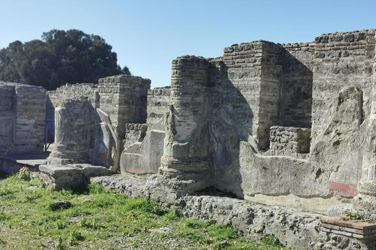 ερείπια ενός κτιρίου με δέντρα στο φόντο