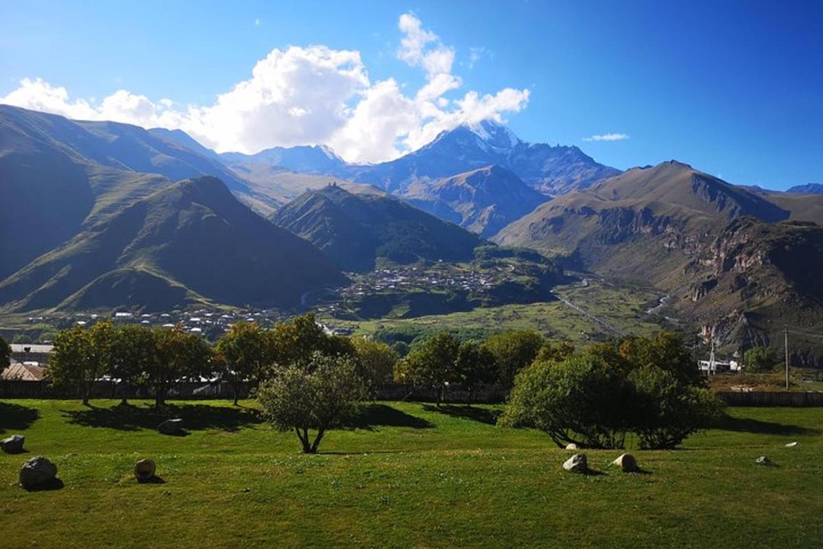 Un grupo de ovejas pastando en un campo con montañas.
