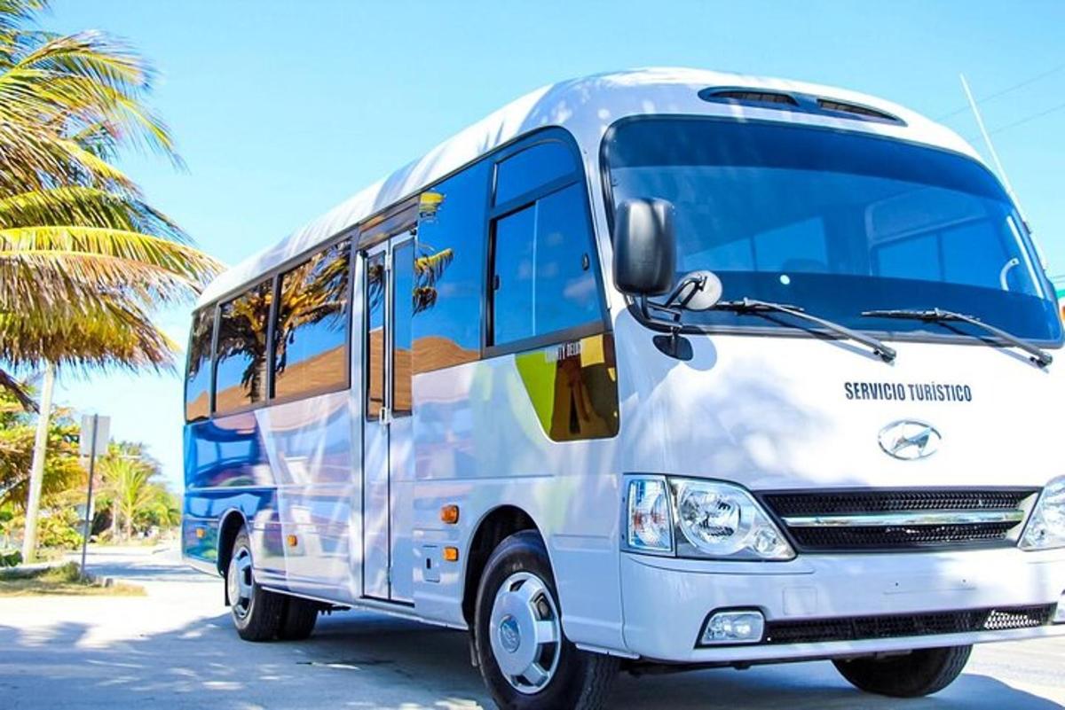 a white bus parked next to a palm tree