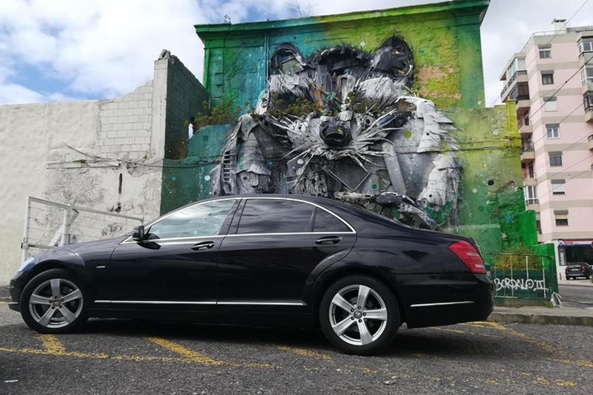 must auto pargitud parklasse seinamaalingu ette