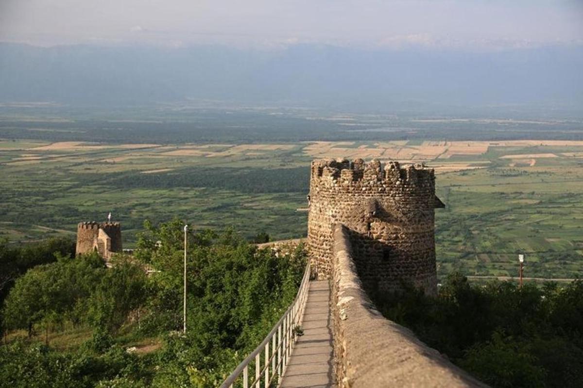 hrad na vrcholu kopce s plotem