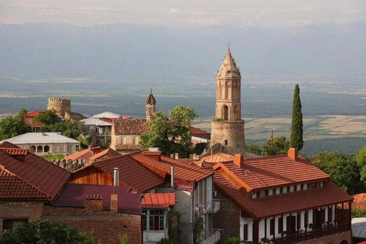 saat kulesi ve çatıları olan bir şehrin görünümü