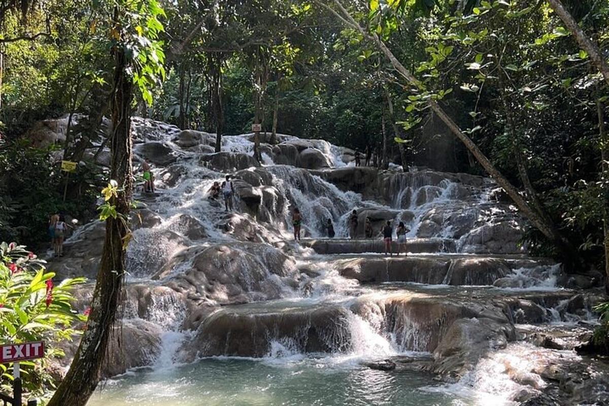 ein Wasserfall mitten im Wald