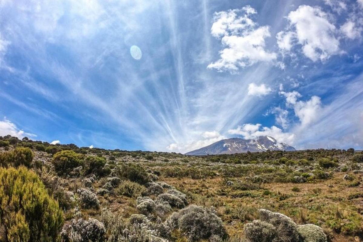 a view of a desert with a mountain in the background