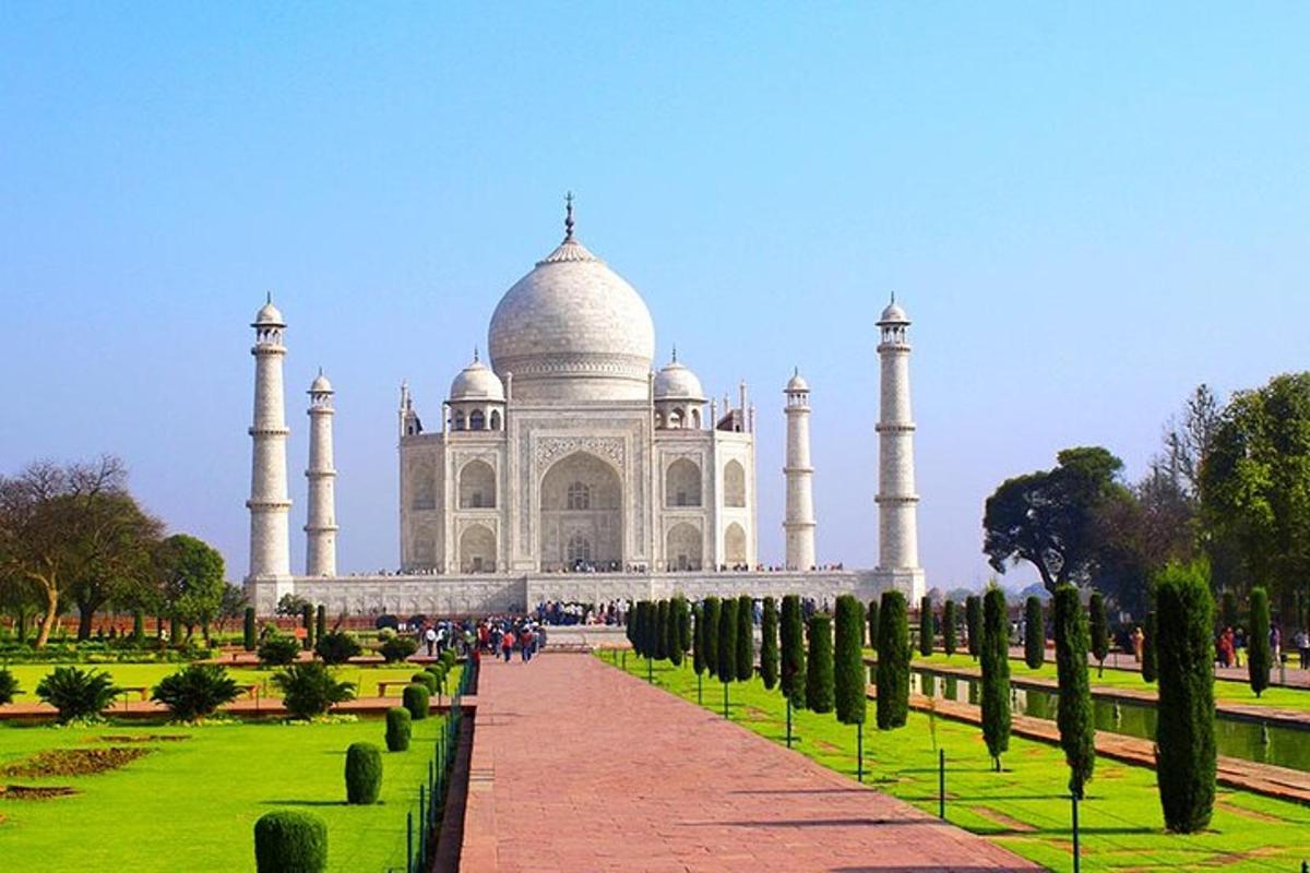 uma vista do Taj Mahal com uma fileira de árvores na frente