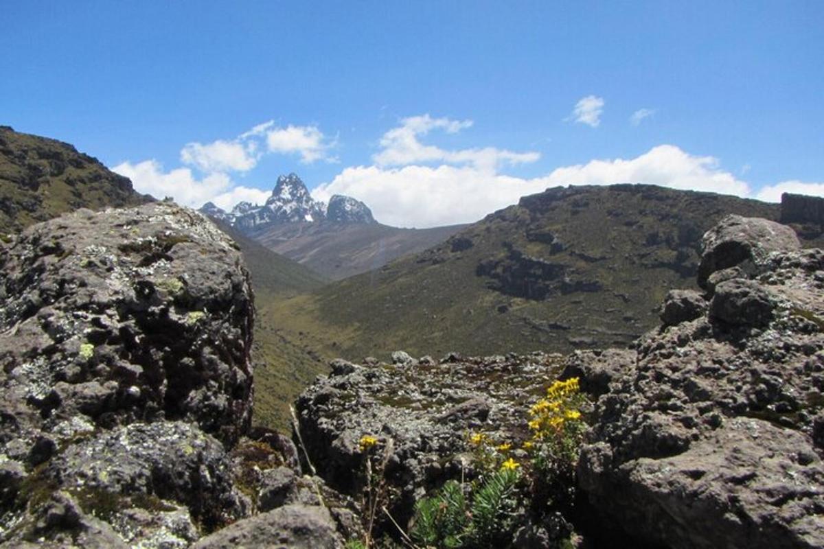 a view of a mountain range with rocks and flowers