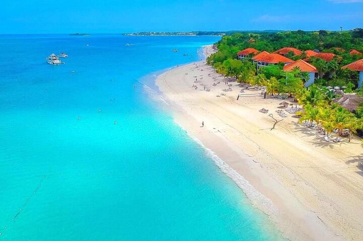 uma vista aérea de uma praia com guarda-sóis