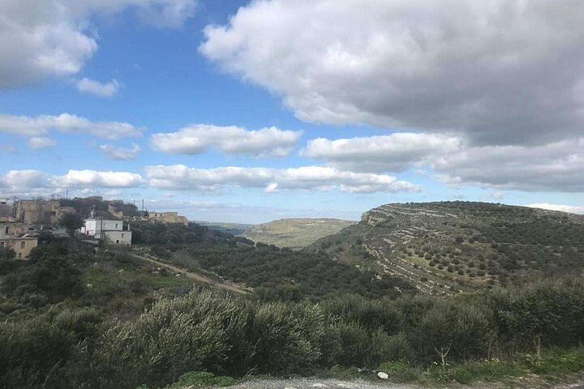 una vista di una collina con alberi ed edifici su di essa