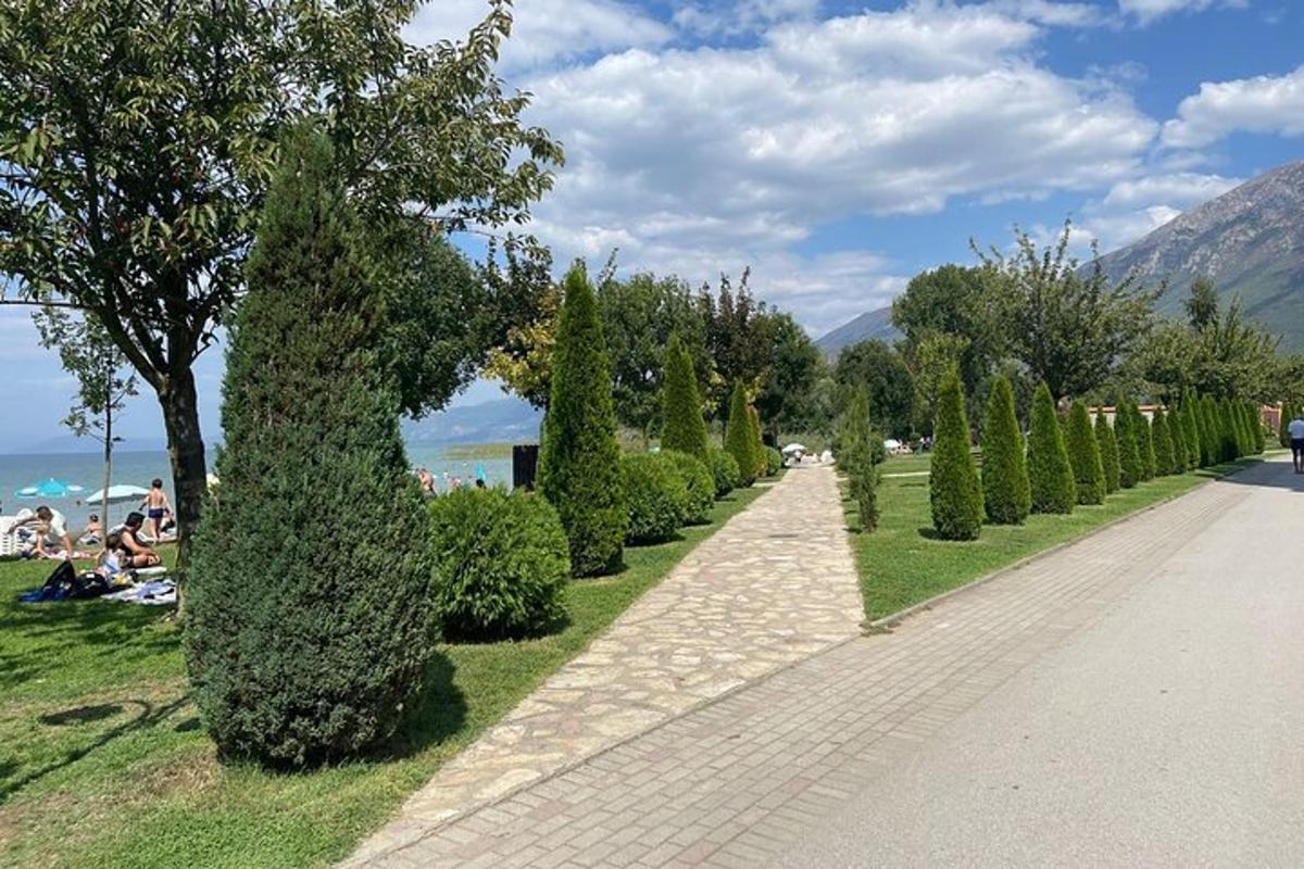 una fila di cespugli e alberi su un marciapiede