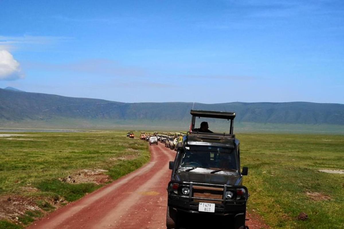 Un camión que circula por un camino de tierra con una manada de ganado