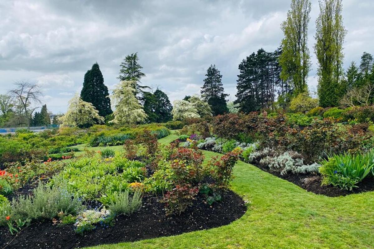 a garden with many different flowers and plants