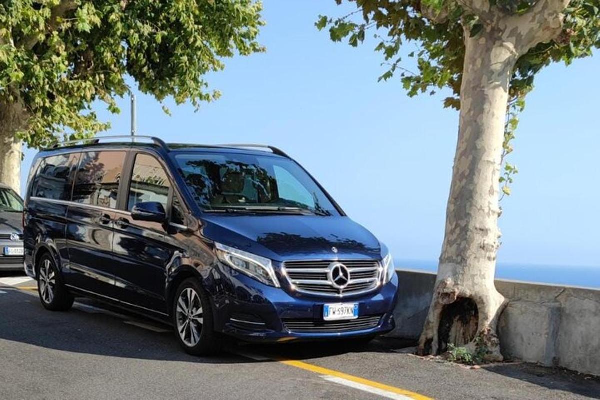 Ένα μπλε μίνιβαν Mercedes Benz παρκαρισμένο δίπλα σε ένα δέντρο