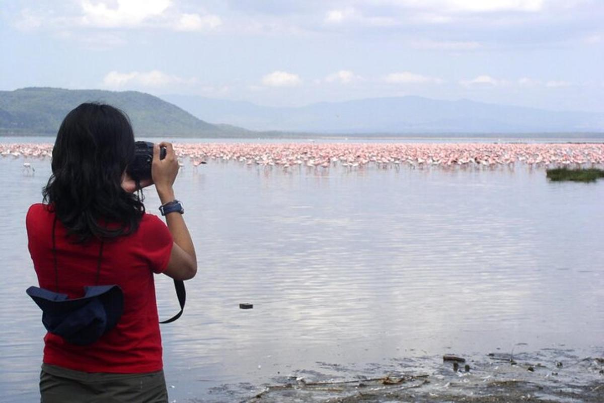 naine pildistab roosade flamingode parve