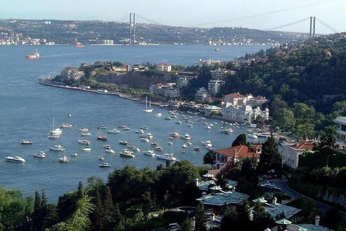 um grupo de barcos em um porto com uma ponte