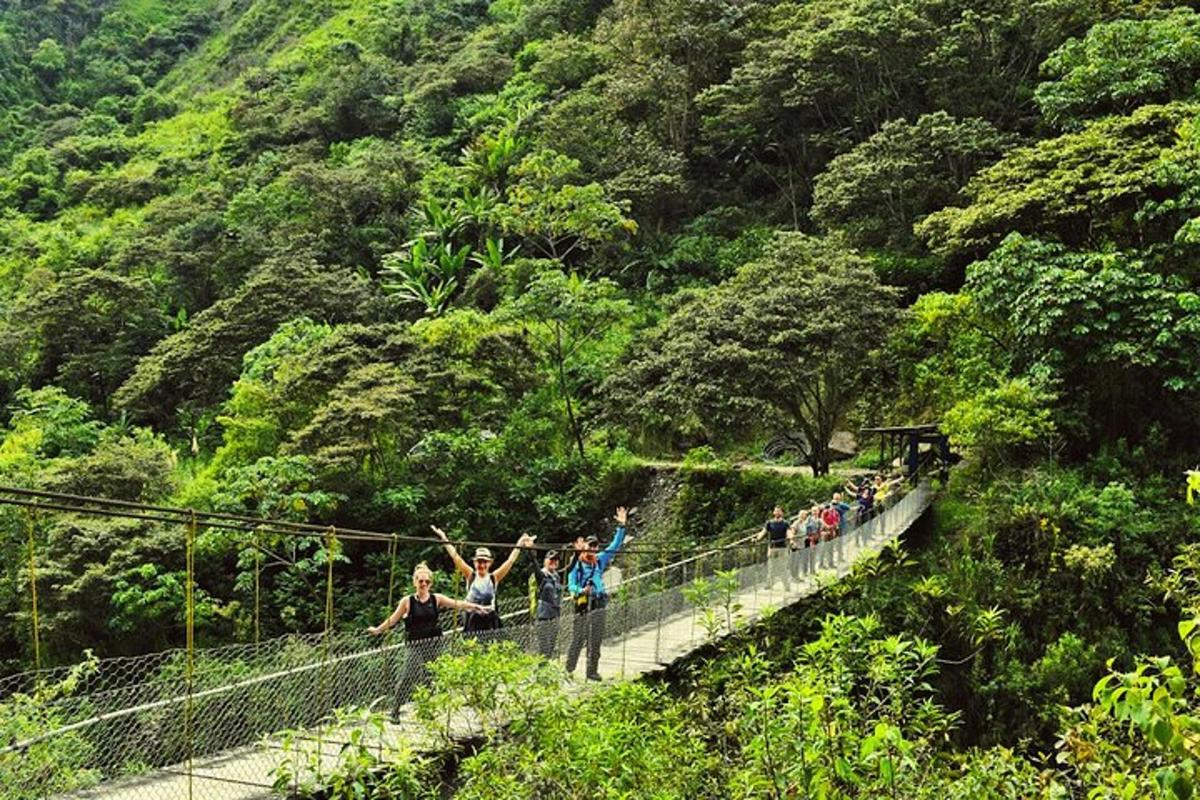 un grup de persones en un pont penjant en un bosc