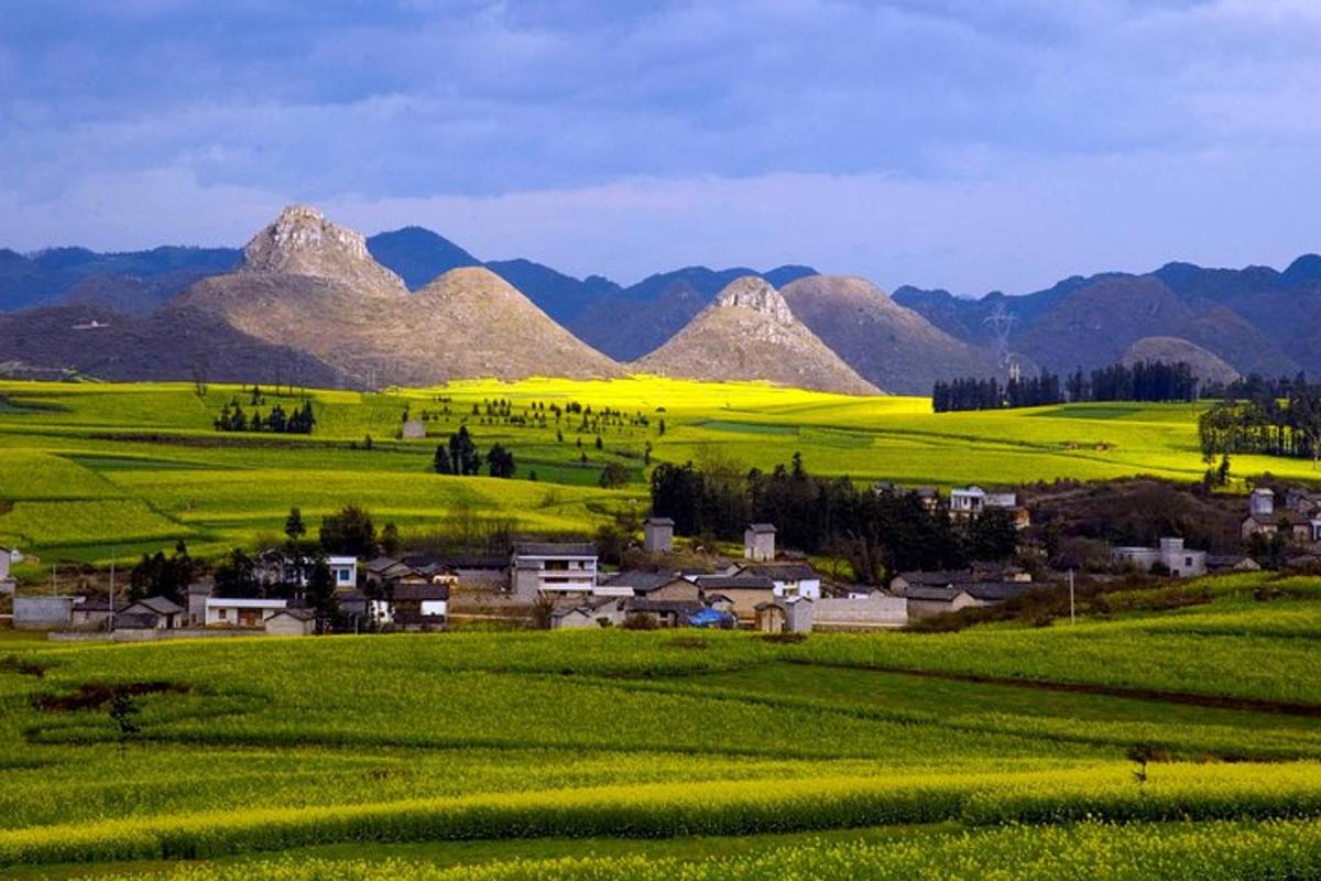 a field of green grass with mountains in the background
