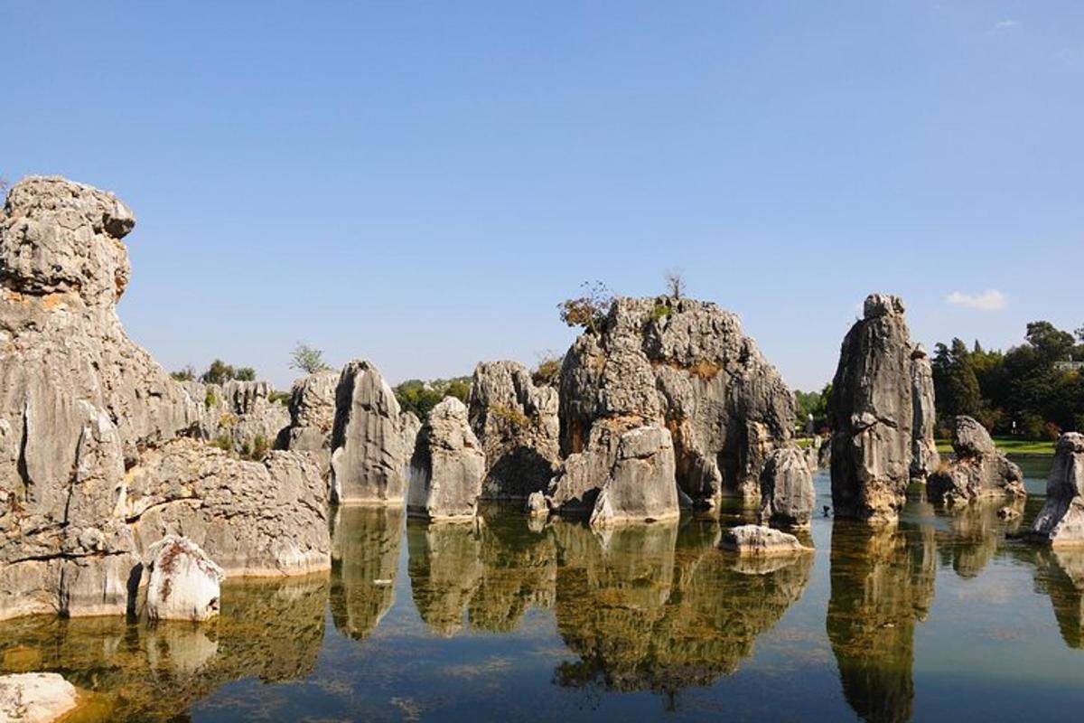 a group of large rocks in the water
