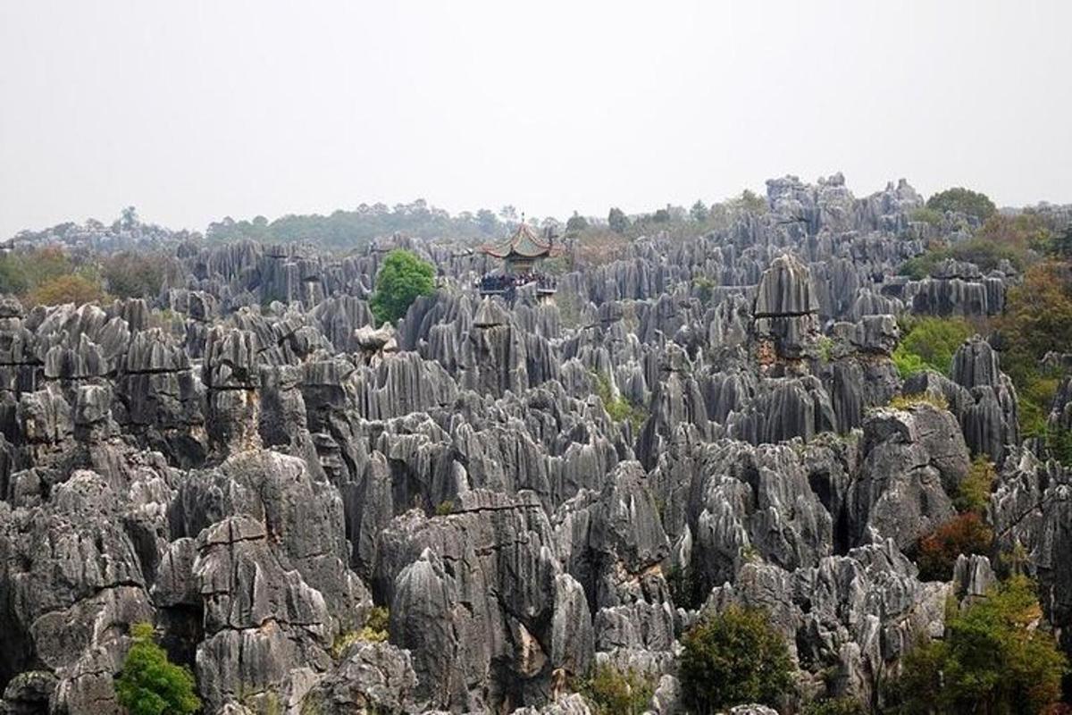 a large group of rocks and trees on a mountain