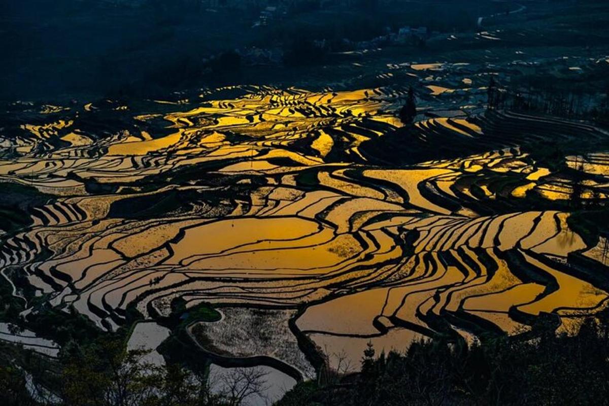 an aerial view of a large terraced rice field
