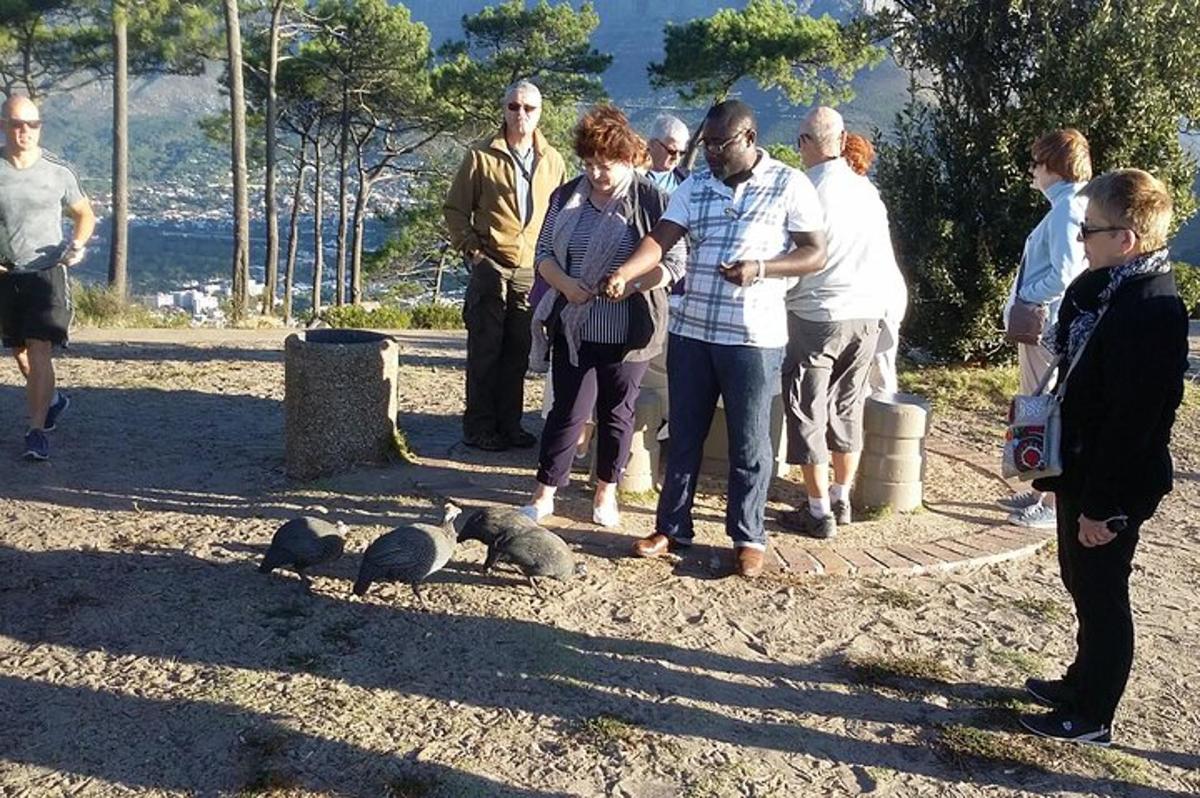 hópur fólks stendur í kringum fuglahóp
