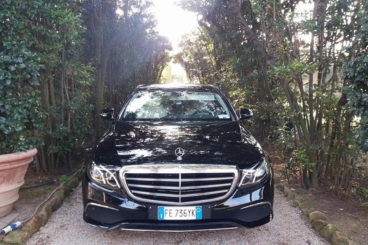must auto pargitud puudega teele