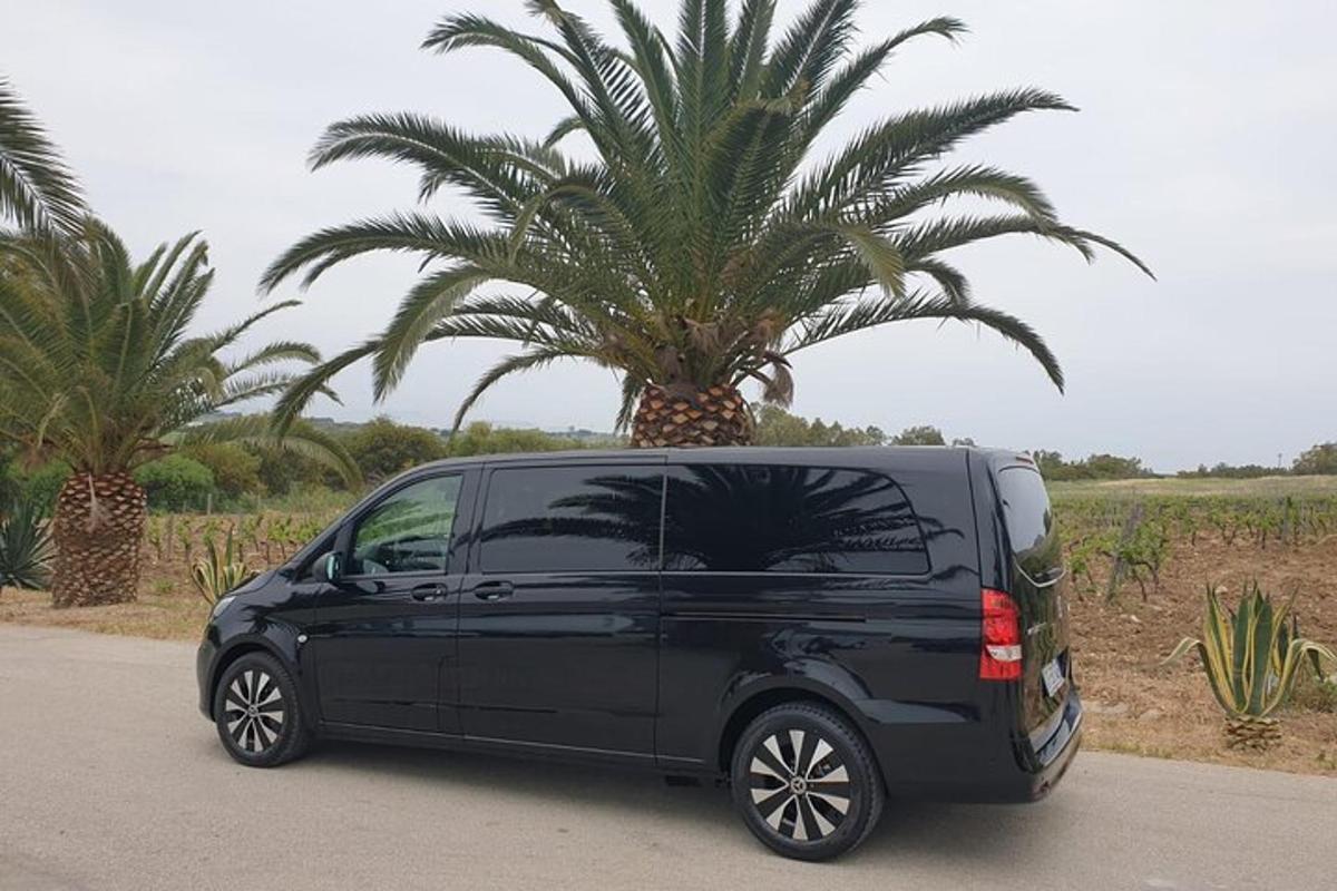 a black van parked in front of a palm tree