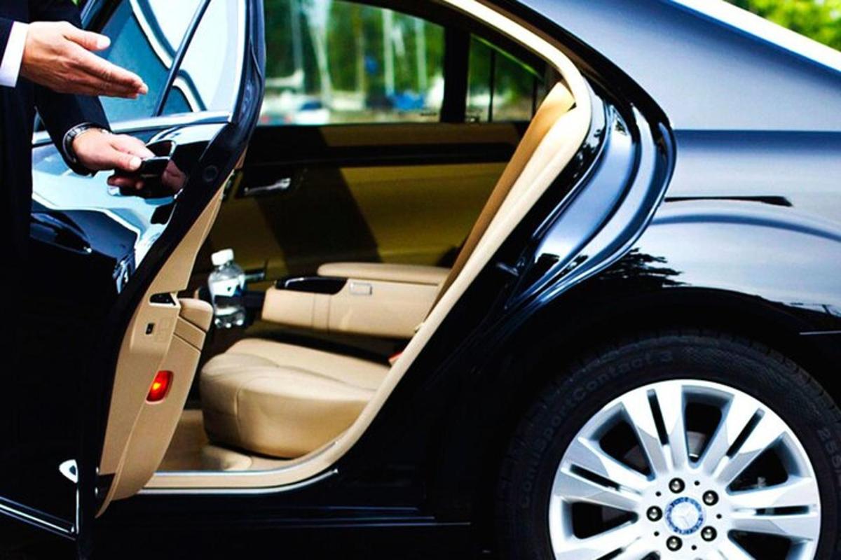 una persona está abriendo la puerta de un coche