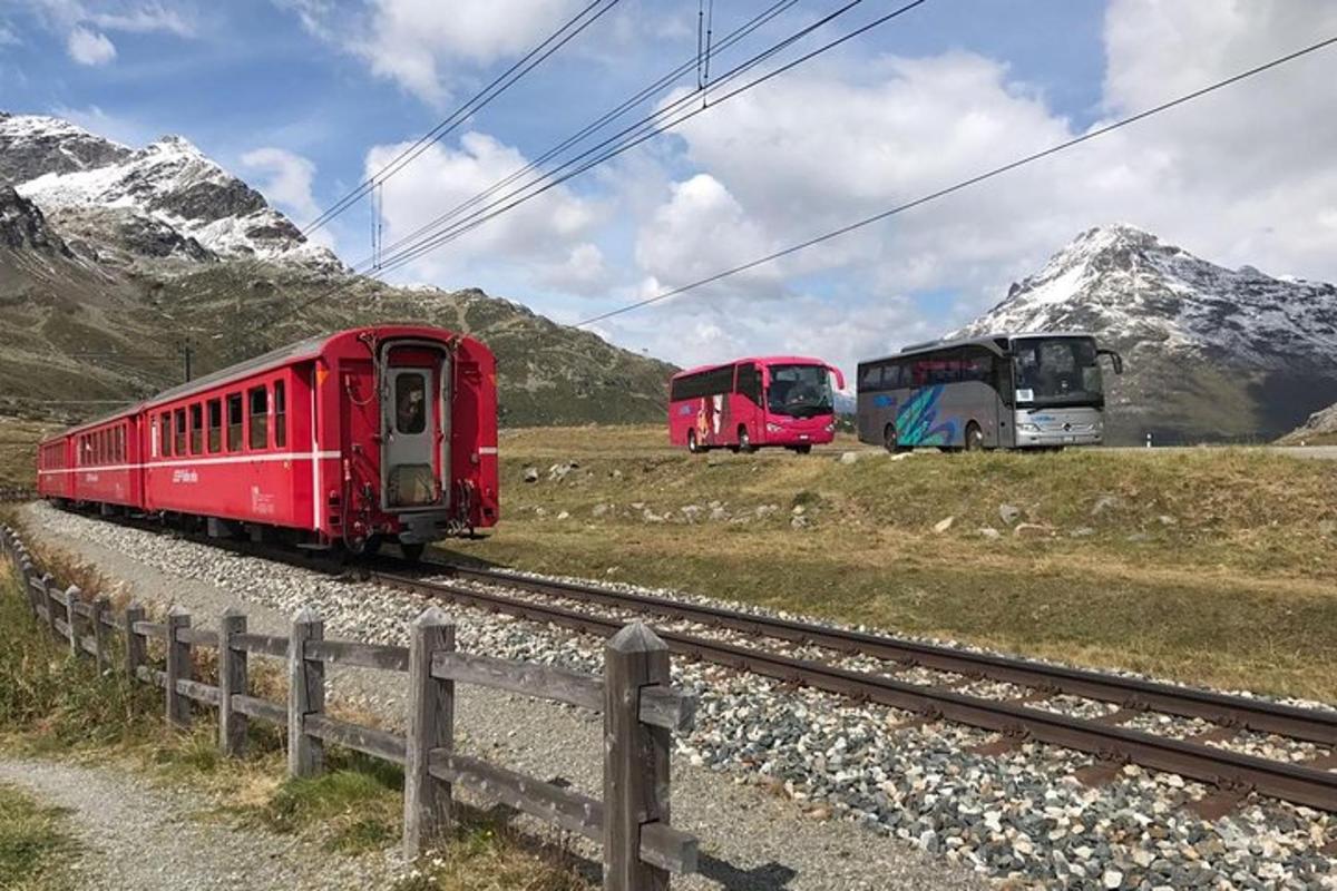 dos trens vermells sobre vies en un camp amb muntanyes