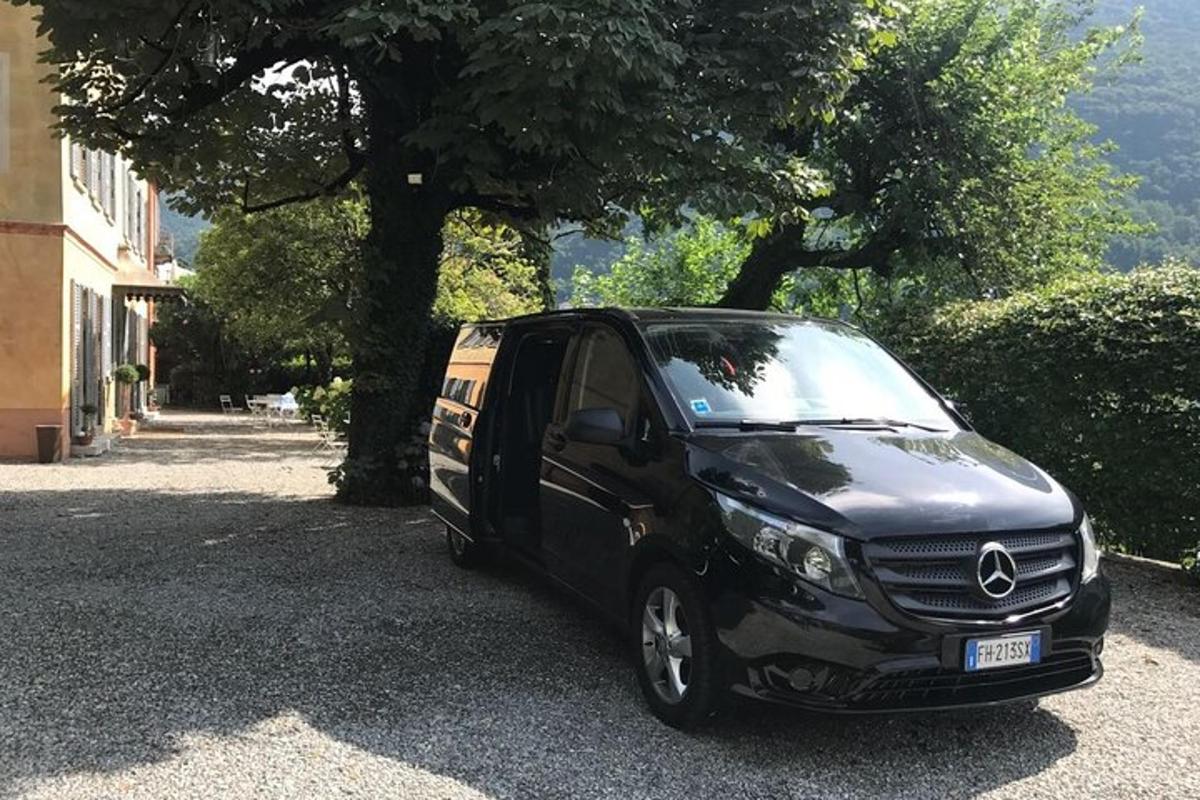 černé auto zaparkované vedle stromu