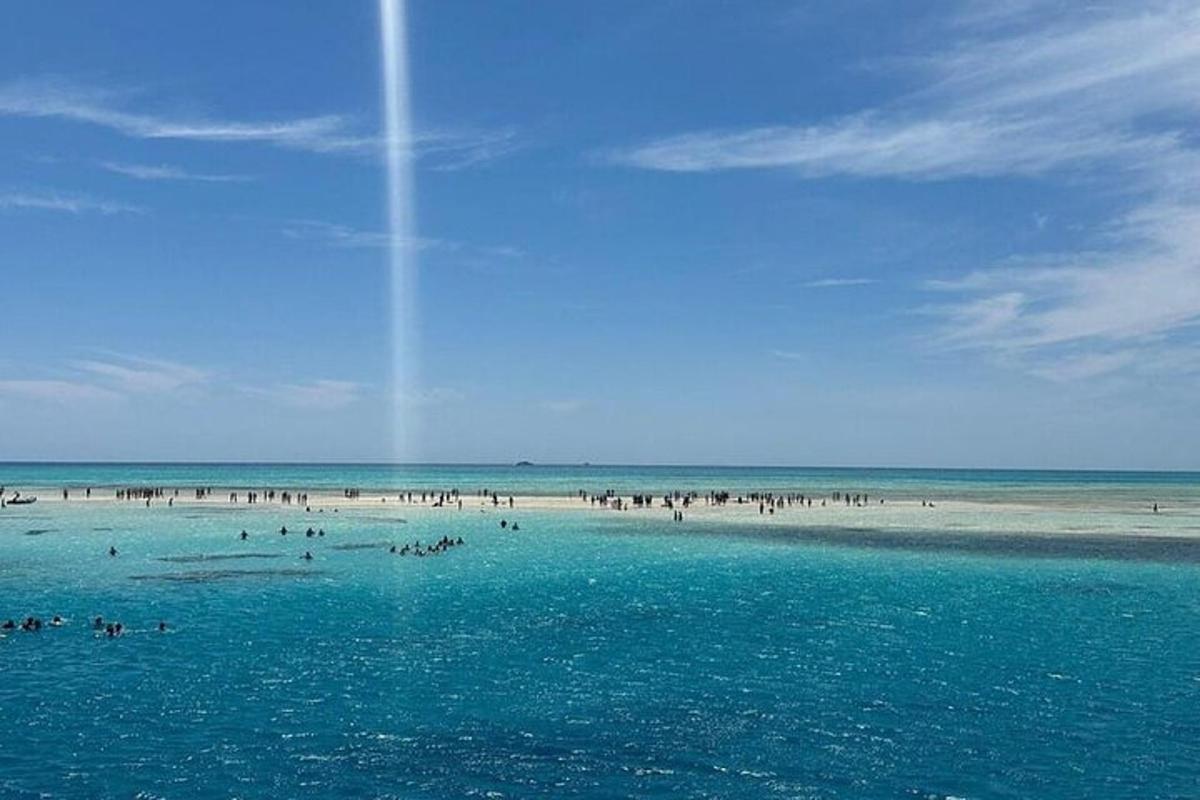 un gruppo di persone in acqua su una spiaggia