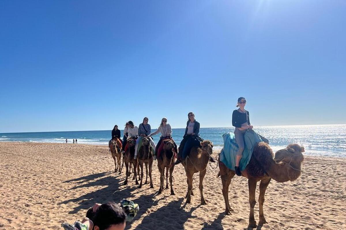 a group of people riding camels on the beach