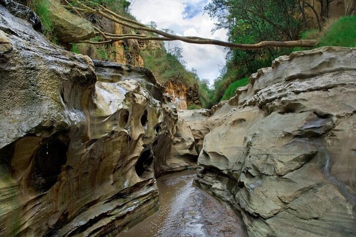 una vista d'un riu en un canyó rocós