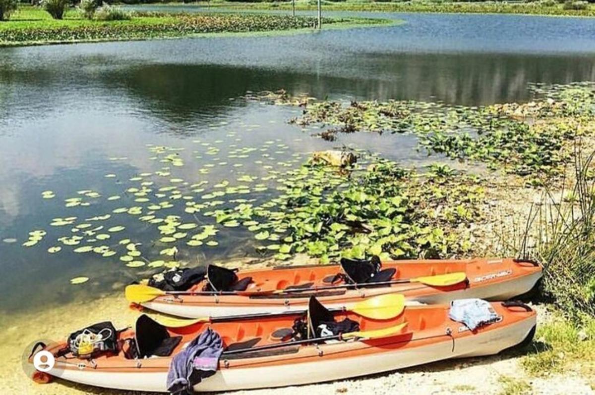 due barche sedute in acqua con delle foglie sopra