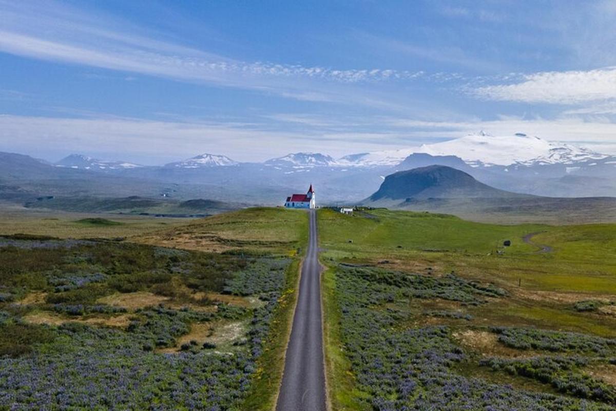 en vei midt i et jorde med et hus