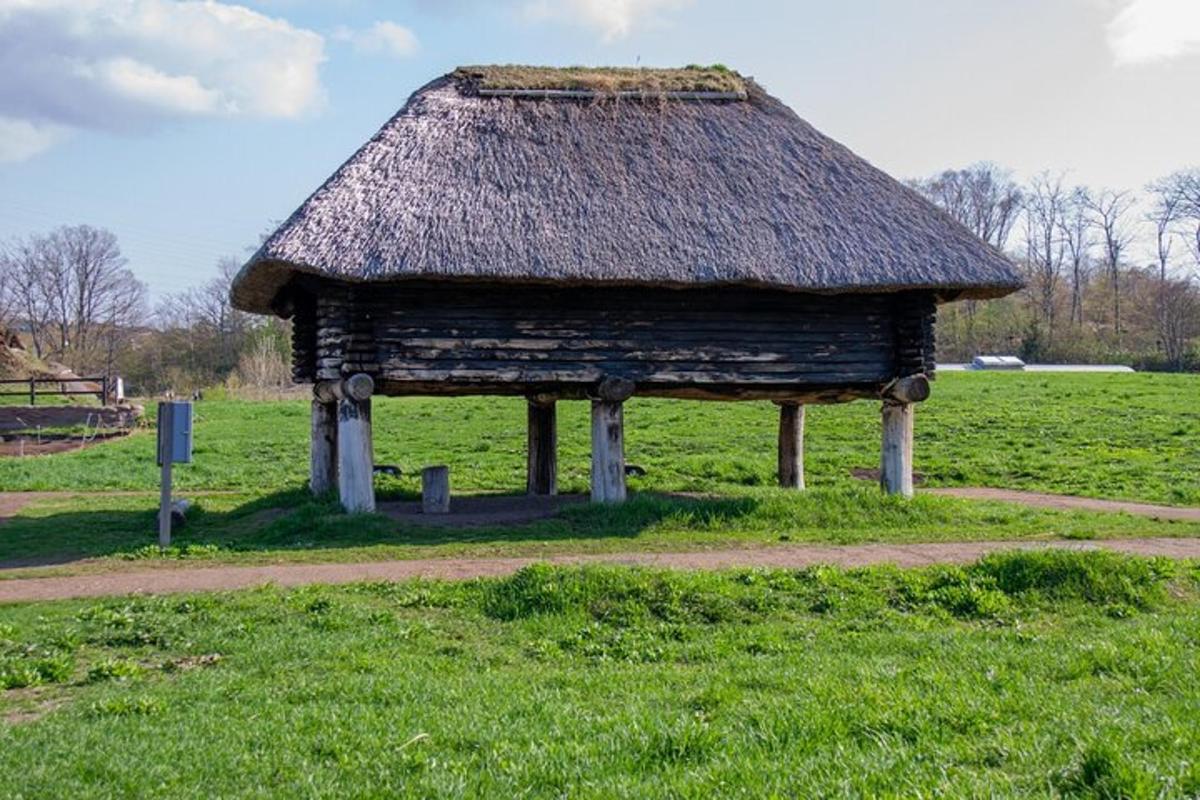 malá dřevěná budova s travnatou střechou na poli