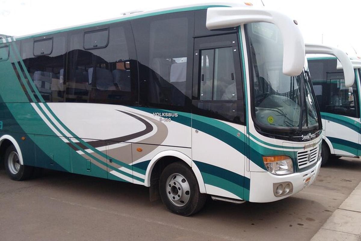 a green and white bus parked next to another bus