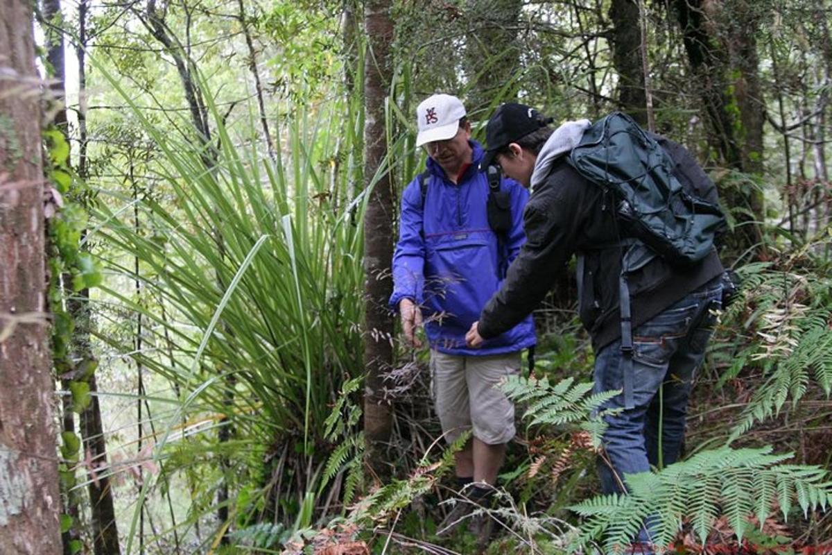 due uomini in piedi in una foresta con un bambino