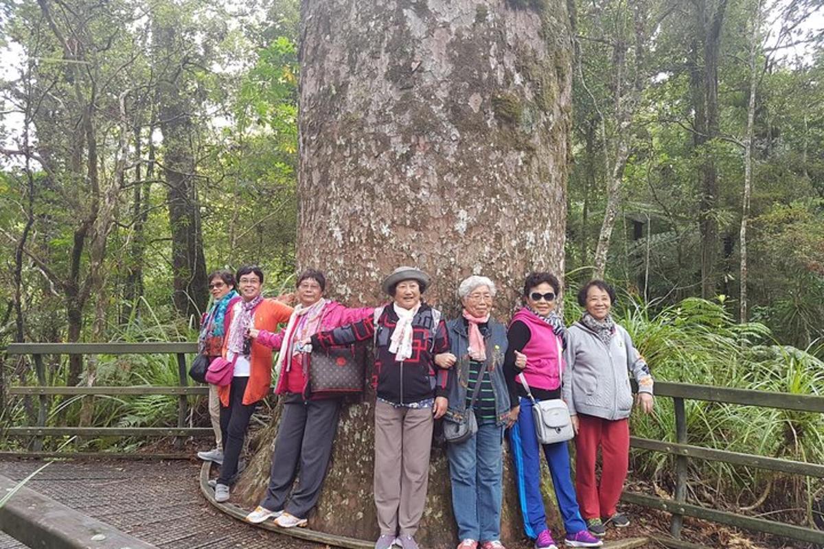 un gruppo di persone in piedi davanti a un albero
