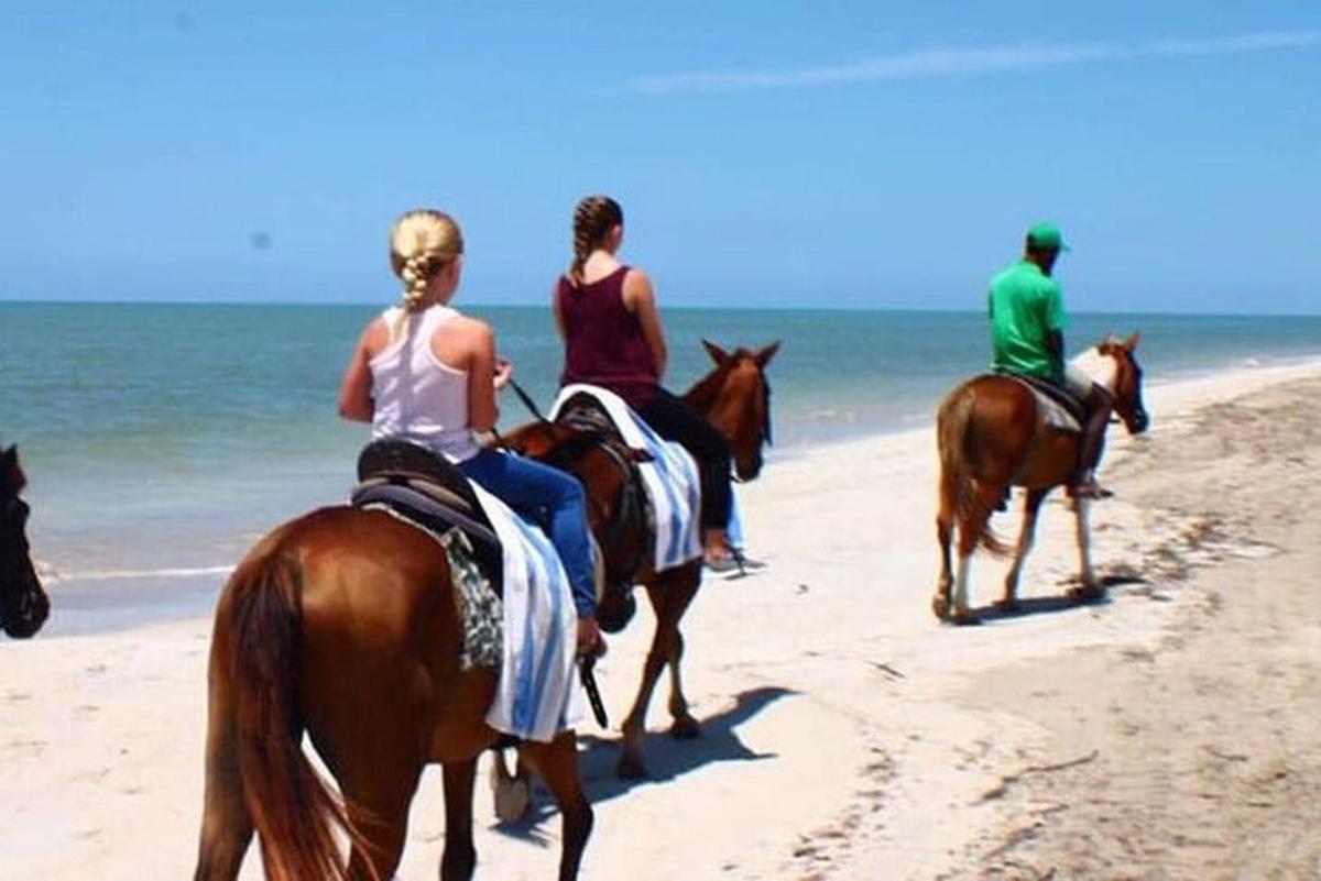 un grupo de personas montando a caballo en la playa