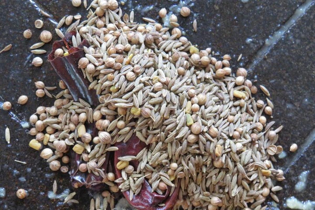 một đống hạt nằm trên mặt đất
