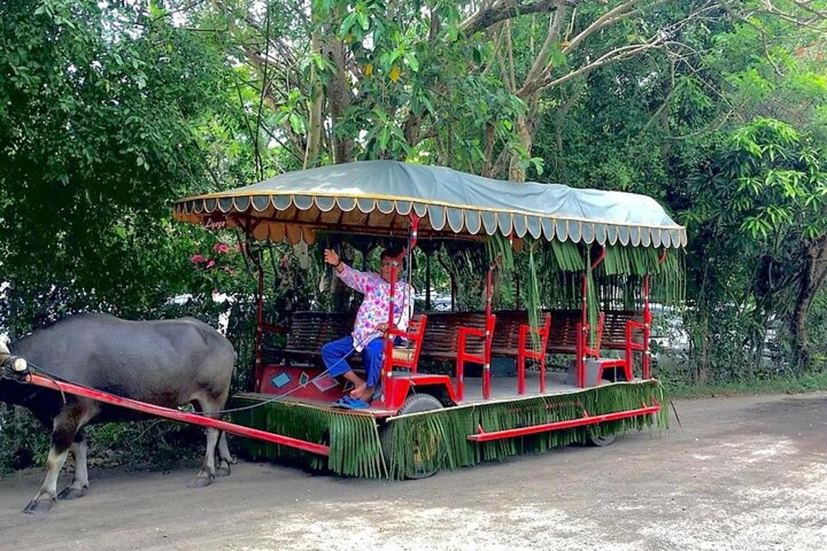 a man on a carousel with a cow