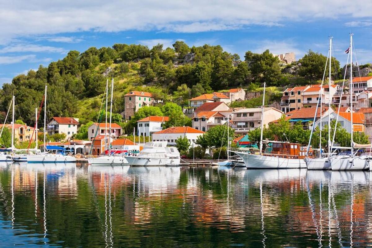 un grup de vaixells atracats en un port amb cases