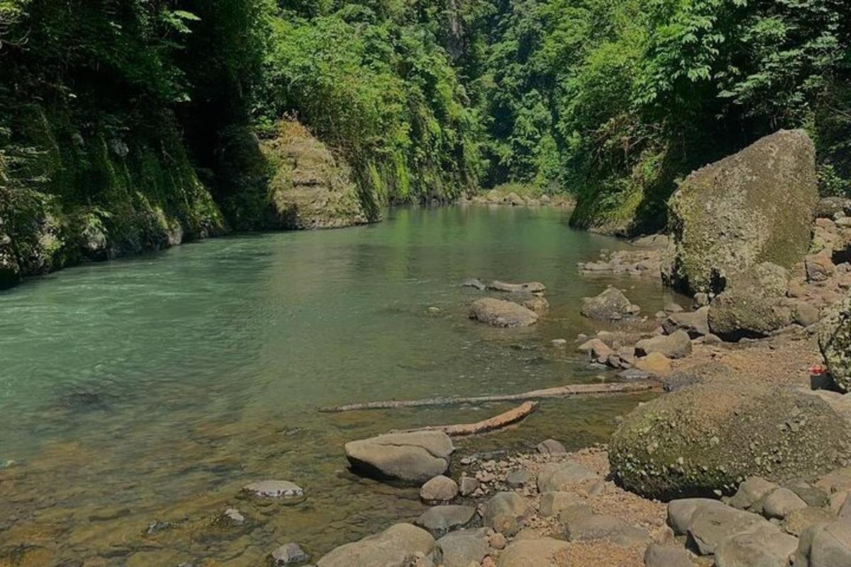 un fiume con rocce e alberi ai lati