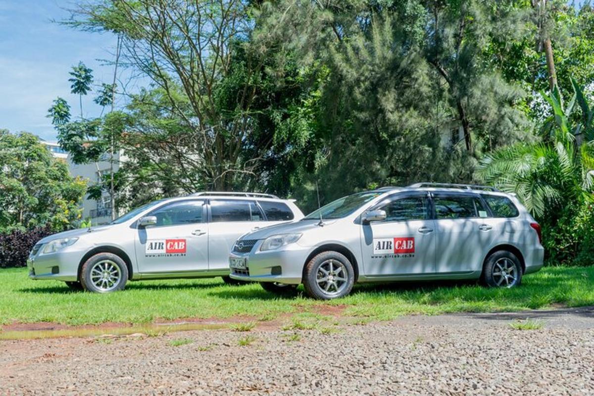 dwa samochody zaparkowane obok siebie na trawie
