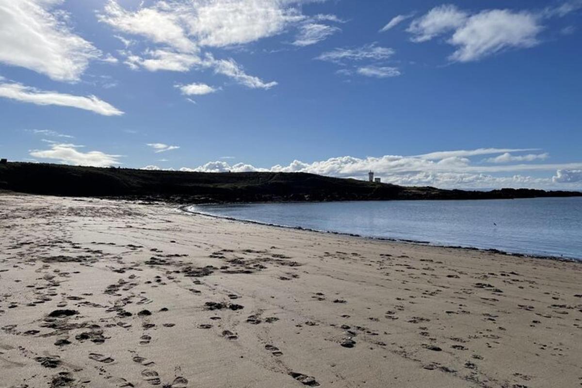 una spiaggia con impronte nella sabbia e nell'acqua