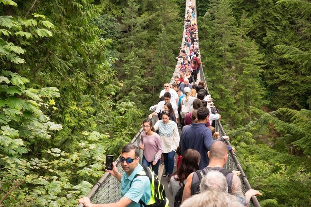 велика група людей, що йде по підвісному мосту