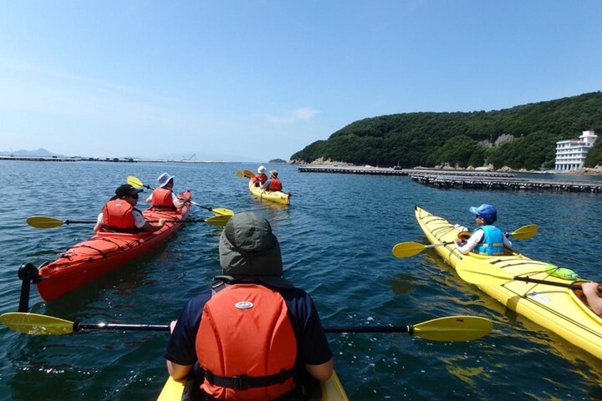 a group of people in kayaks in the water